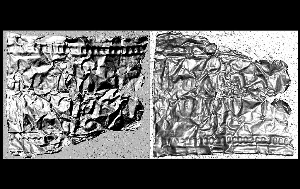 Fragment bladgoud, opname met MiniDome