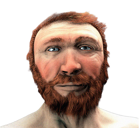 Reconstructed Neanderthal