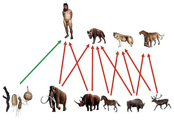 Neanderthal and predator prey, 40,000 years ago