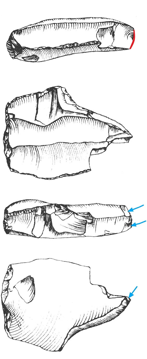 Drawn side views, dorsal, and ventral sides of the same burin busque