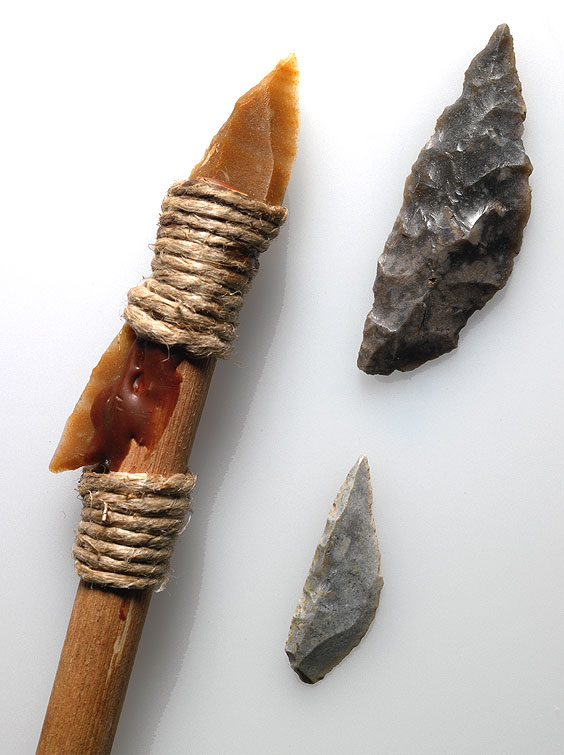 Reconstruction of a hafted and barbed arrow, plus two points
