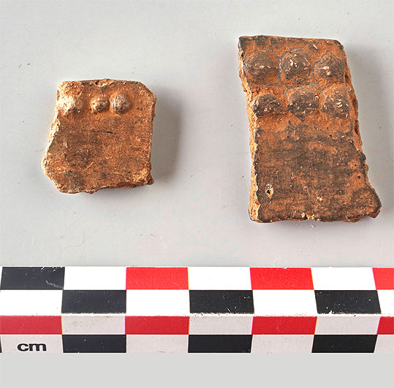 Two rim sherds with embossed buttons