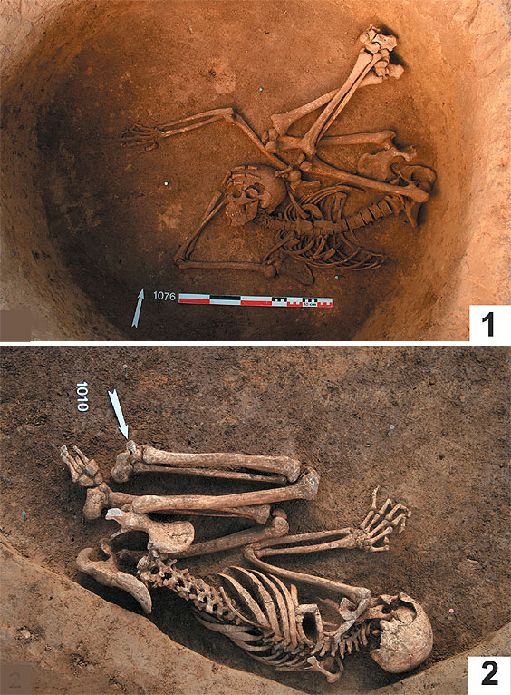 Fig 6: Hunter-gatherer burial and Neolithic farmer burial comparisons, Gougenheim (France)