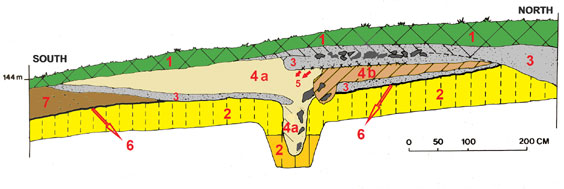 Fig 16: Profil composite sud-nord avec le fossé au centre