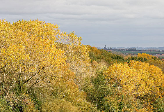 Autumn image with the town of Messines in the background
